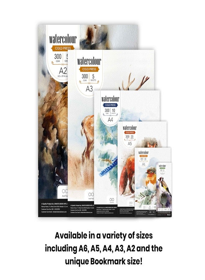 Scholar Watercolour Cold Pressed Loose Sheets - 300 GSM Thick Artist Paper | High Absorbance Surface | Premium Watercolor Paper for Washes, Detailing, Illustration & Professional Art Practice (A6) (Portrait) - Image 4